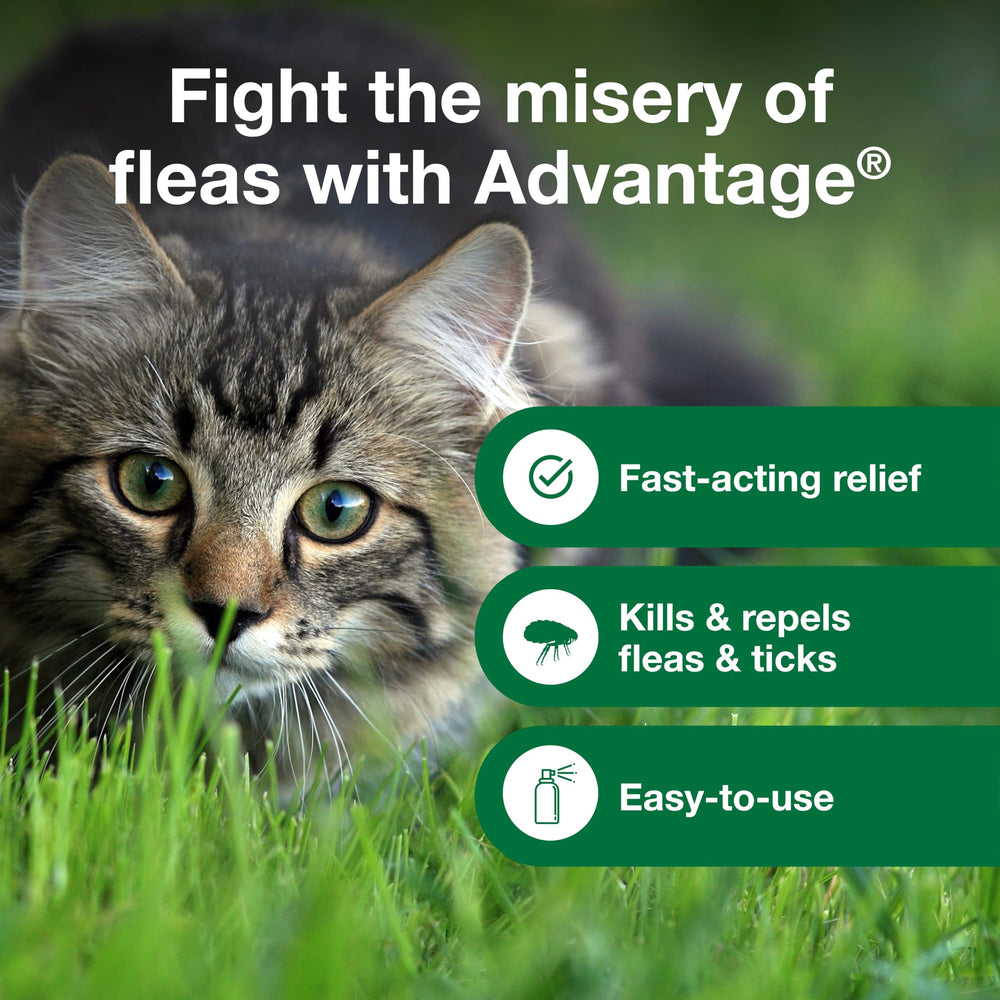 Advantage Cat Flea Spray supports a complete flea program at home.