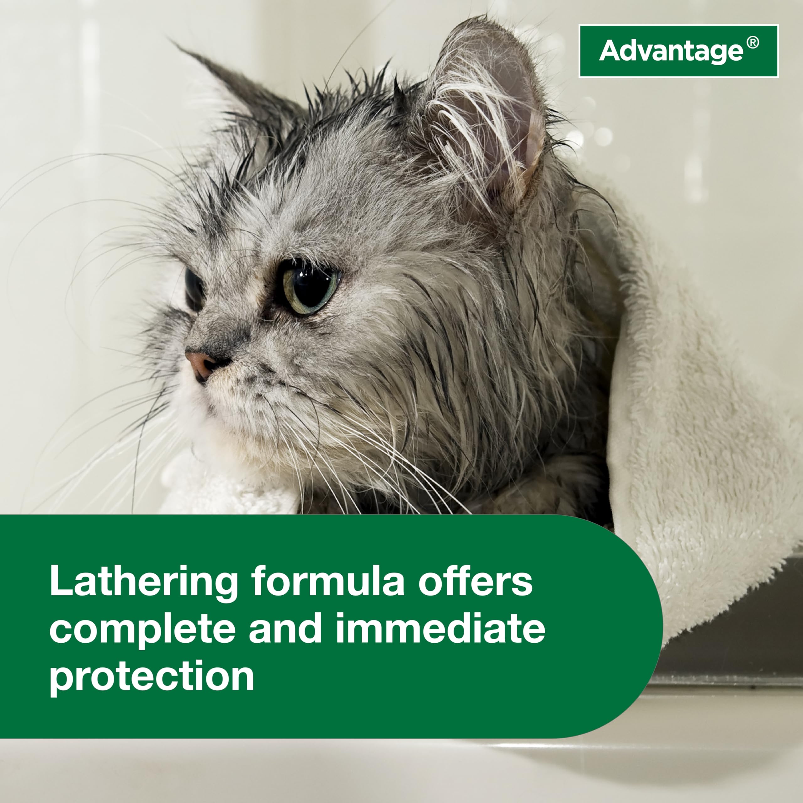 Advantage Cat Shampoo used as part of a broader flea control routine
