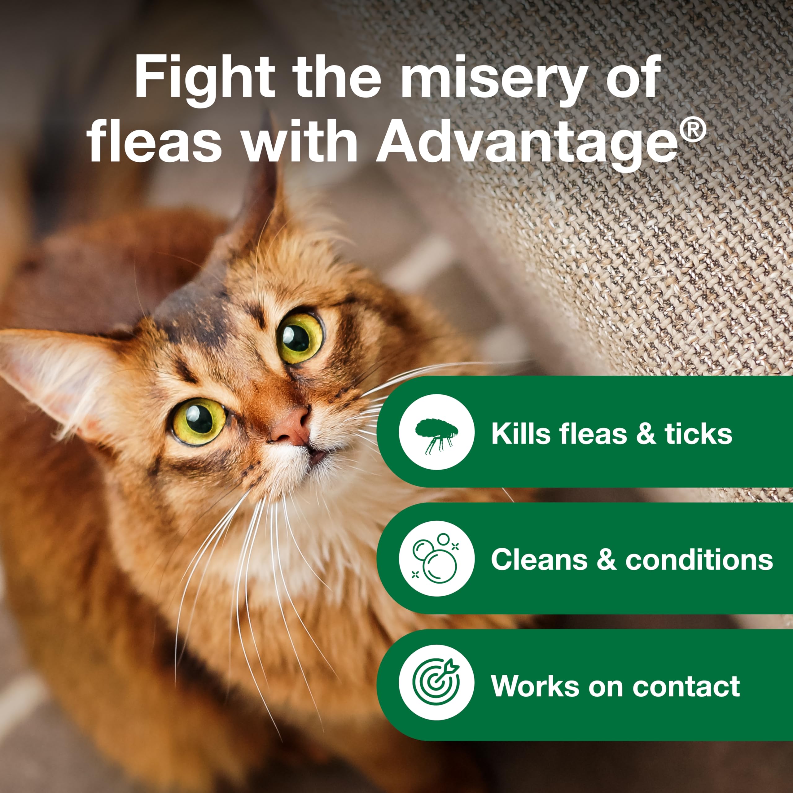 Advantage Cat Shampoo wait time of five minutes before rinsing for effectiveness