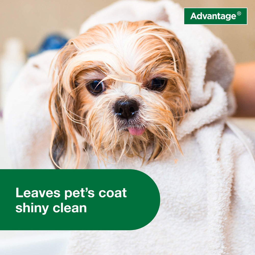 Advantage coat-cleaning image highlights conditioning and refreshing scent