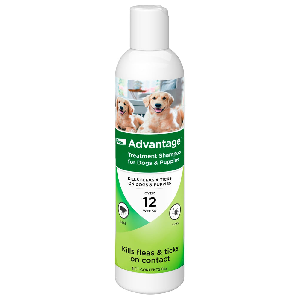 Advantage Dog Flea & Tick Shampoo bottle showing quick flea control and easy lather.