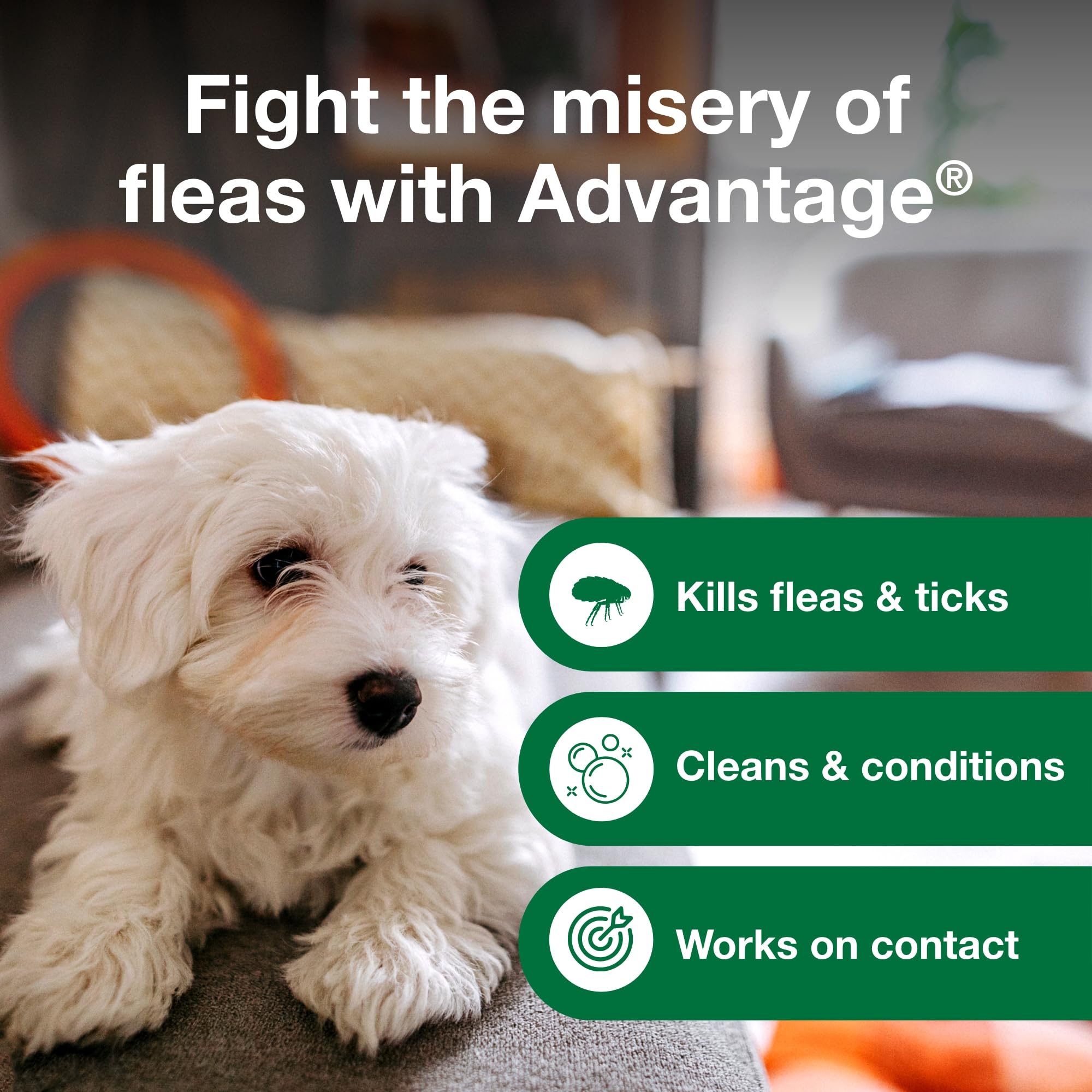Foam on a dog's coat from Advantage shampoo for gentle cleansing.