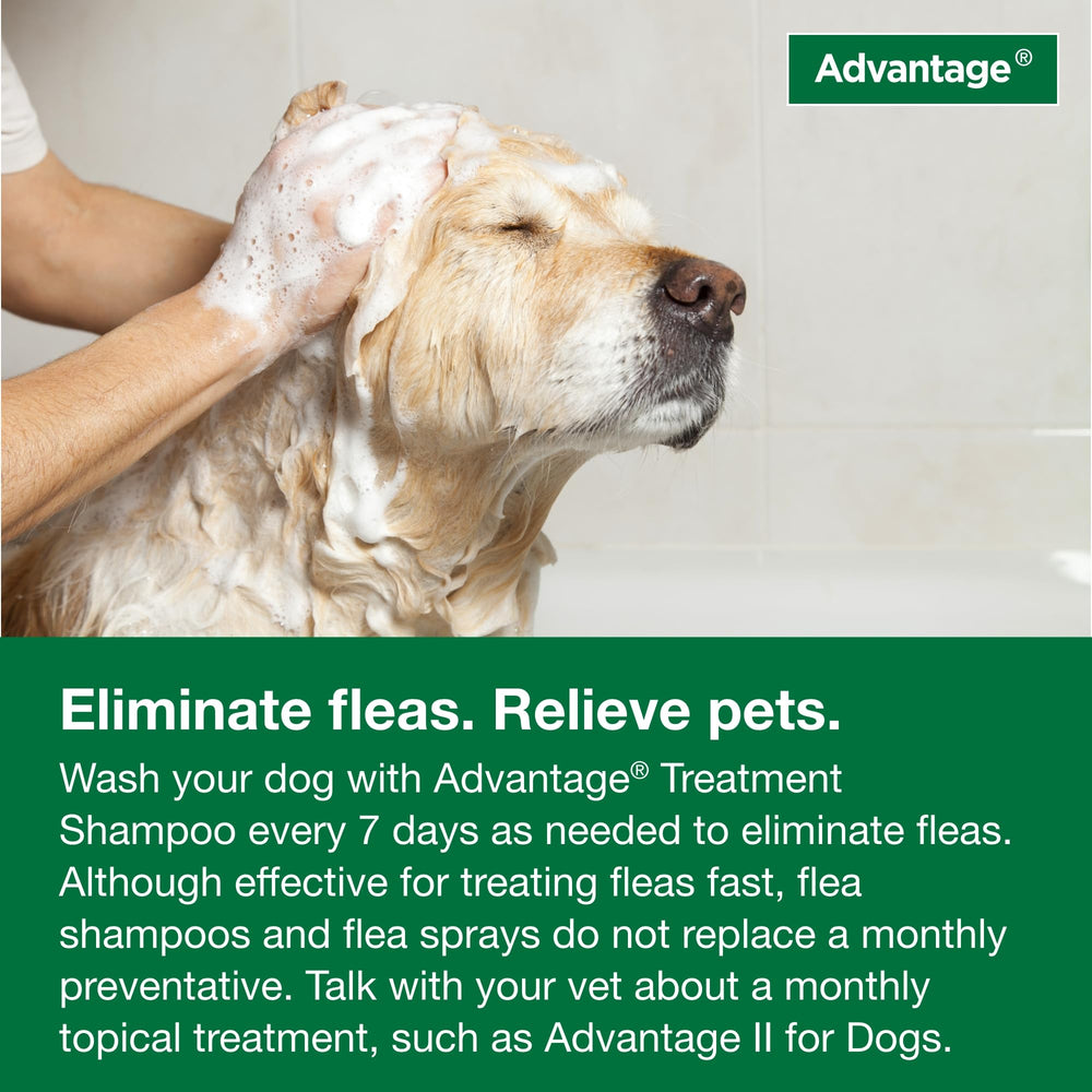 8 oz Advantage Shampoo packaging highlighting size and readiness.