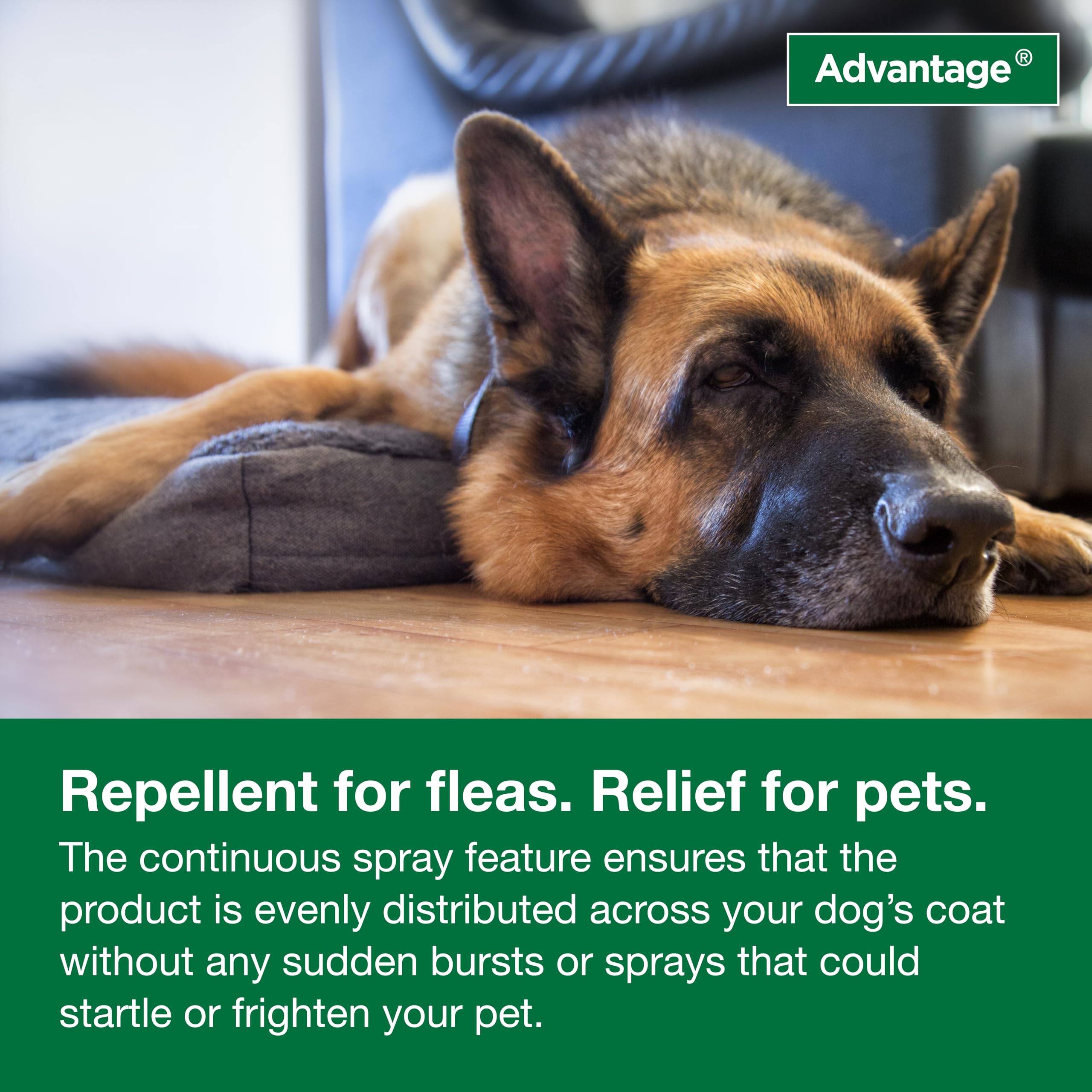 Advantage complete flea program integrates pet, home, and yard treatments.