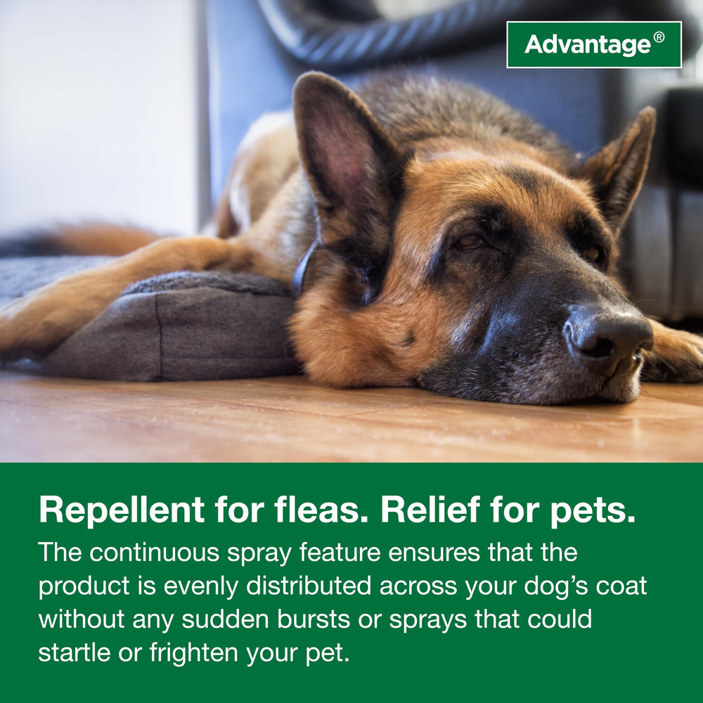 Advantage complete flea program integrates pet, home, and yard treatments.