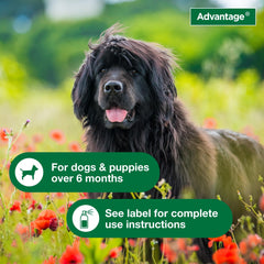 Advantage Dog Flea Treatment Spray provides neck-to-tail coverage for full-coat treatment.
