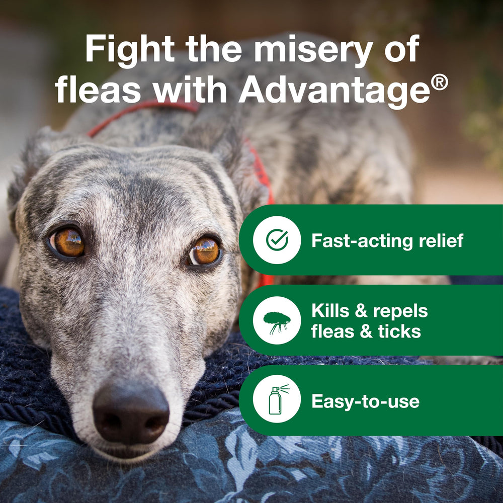 Advantage Dog Flea Treatment Spray addresses preadult fleas and flea eggs to prevent maturation.
