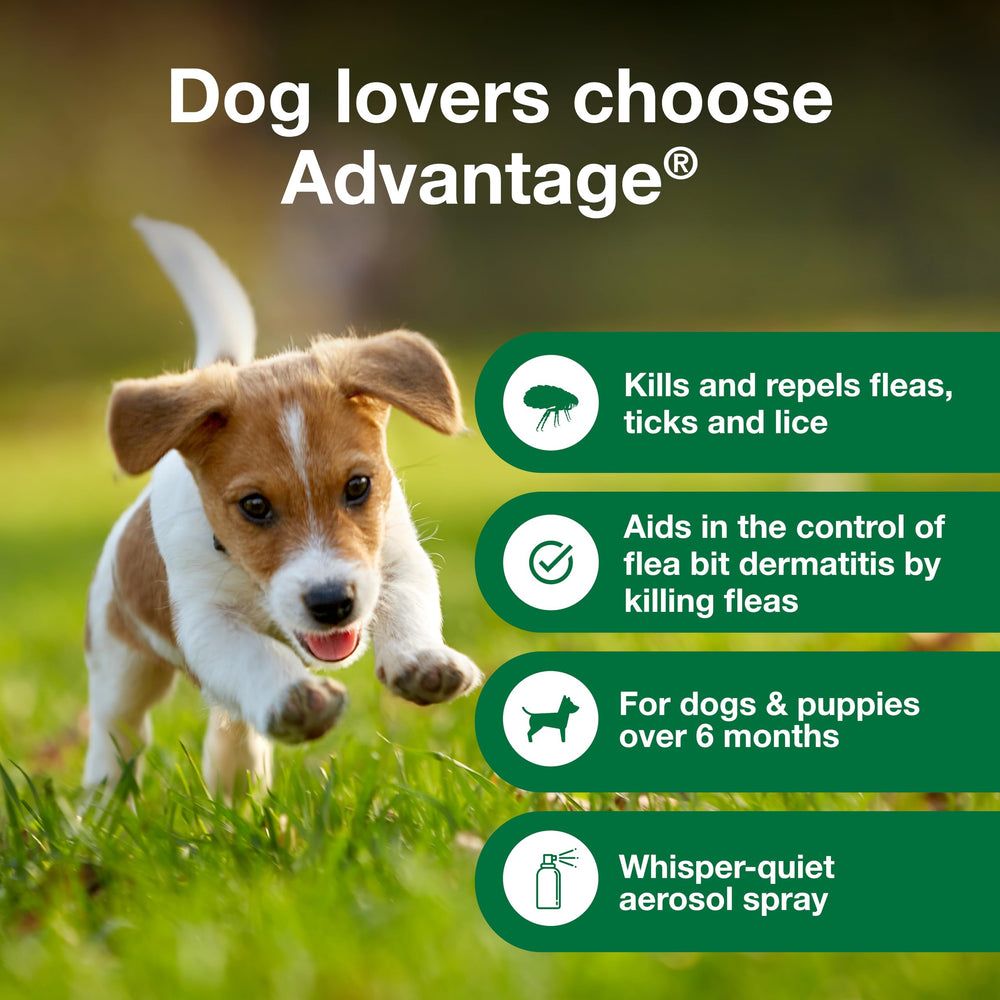Advantage Dog Flea Treatment Spray shows whisper-spray for a stress-free treatment.