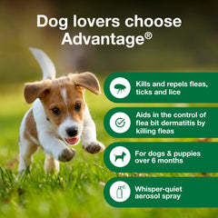 Advantage Dog Flea Treatment Spray shows whisper-spray for a stress-free treatment.