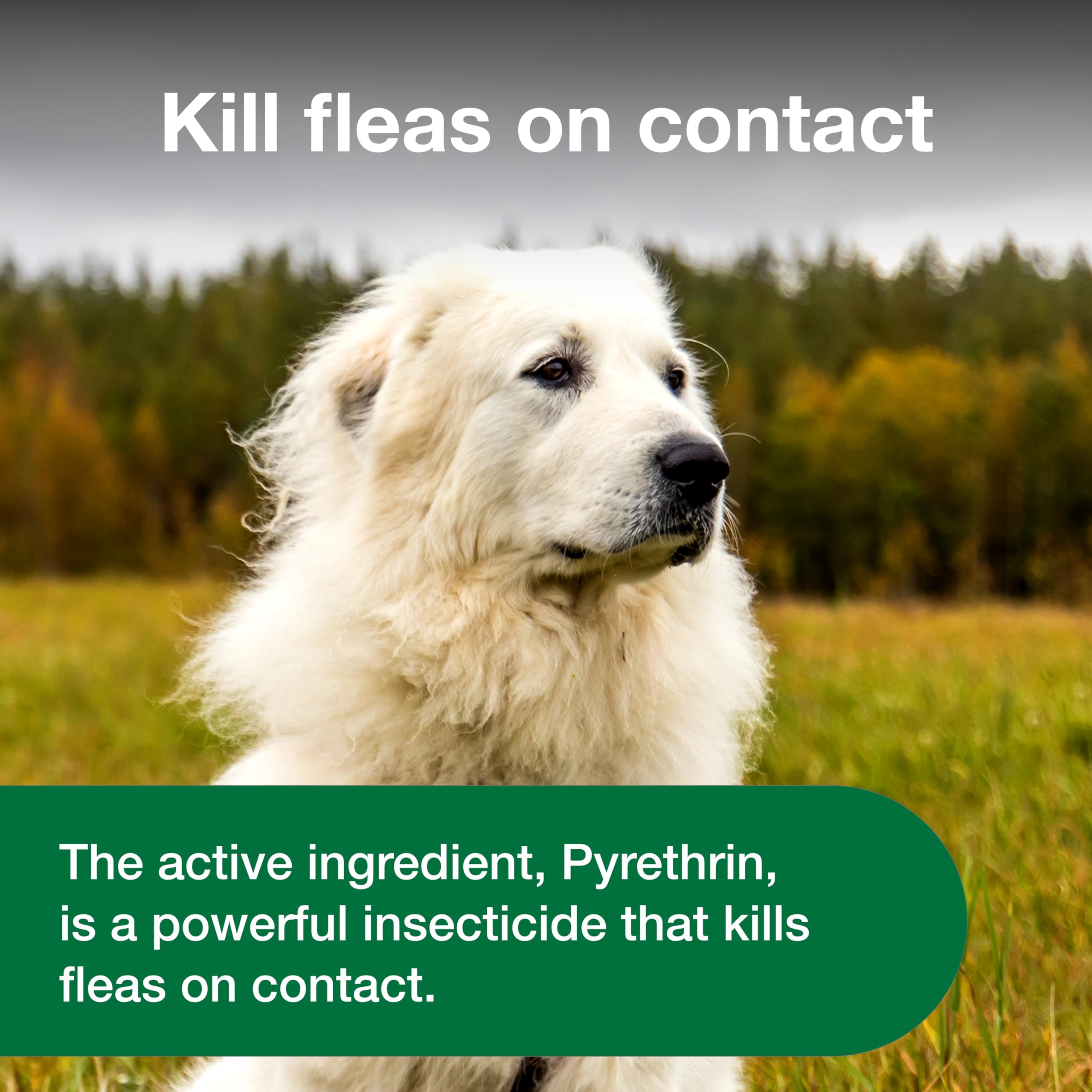 Advantage flea spray is suitable for dogs over six months old.