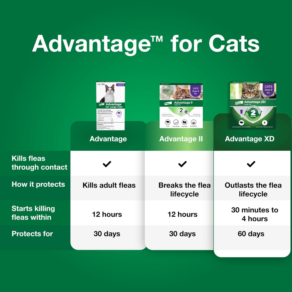 Fleas killed within 12 hours with Advantage, fast relief.