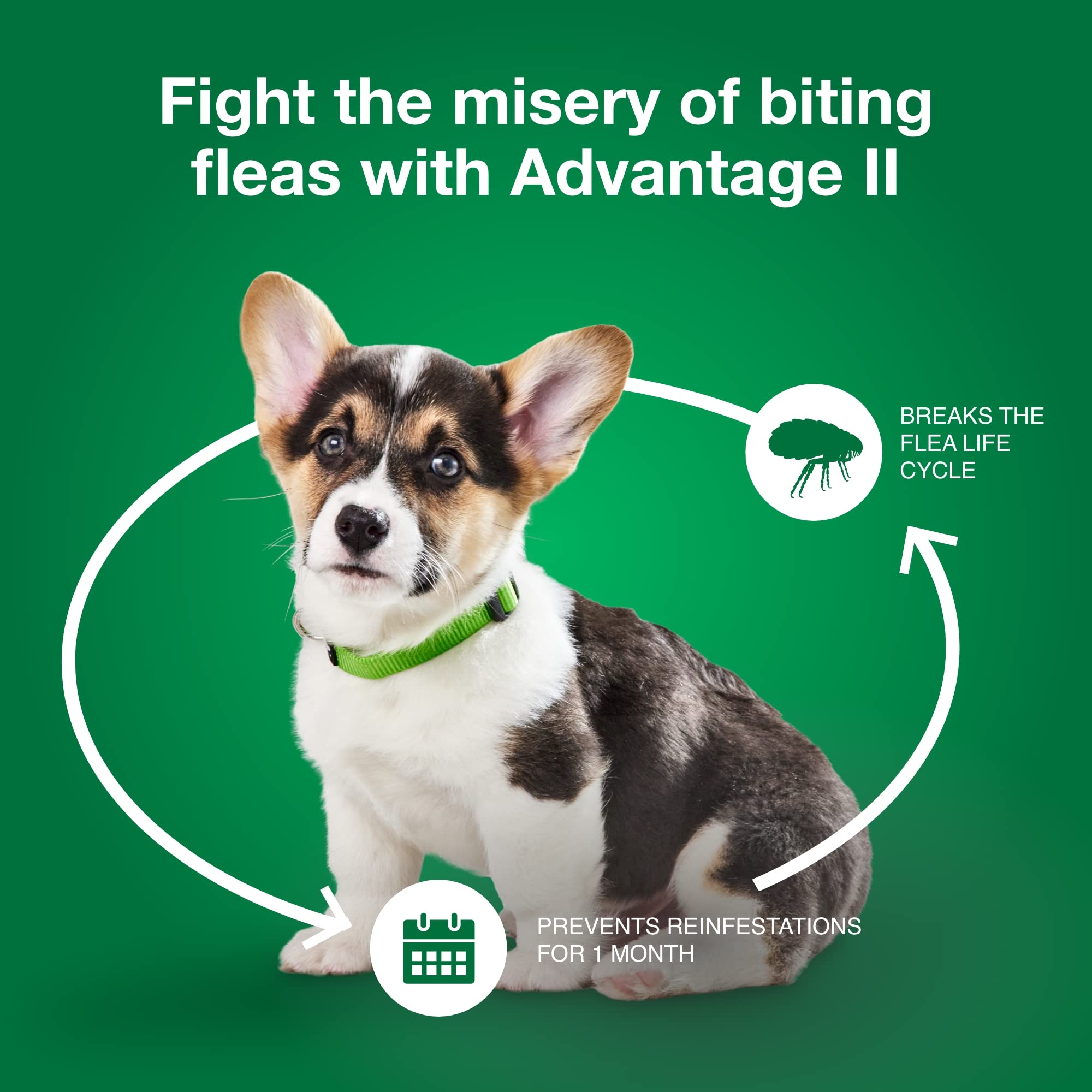 Advantage II Small Dog fragrance free formula for sensitive pets