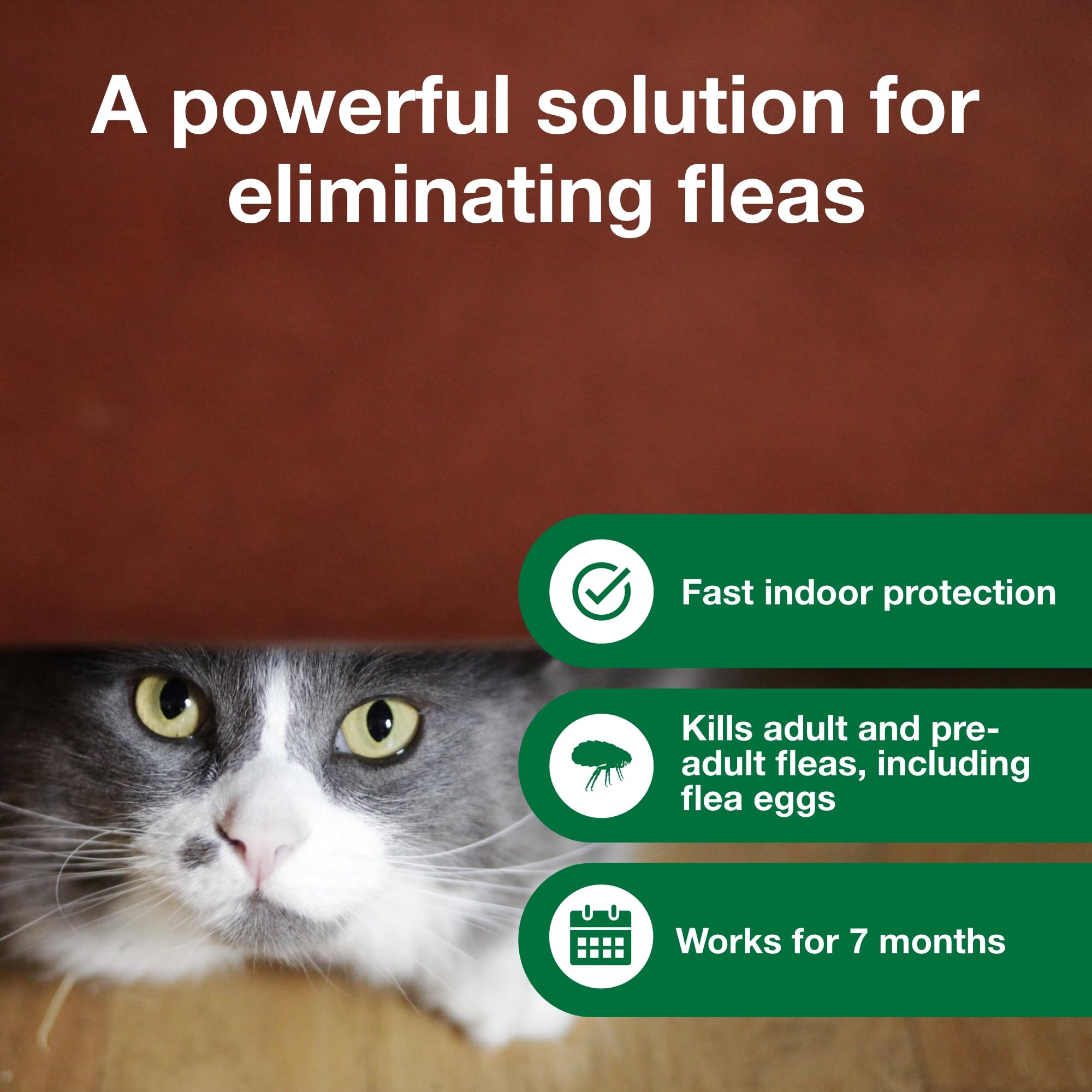 Advantage Household Fogger kills adult fleas, eggs, and ticks on carpets.