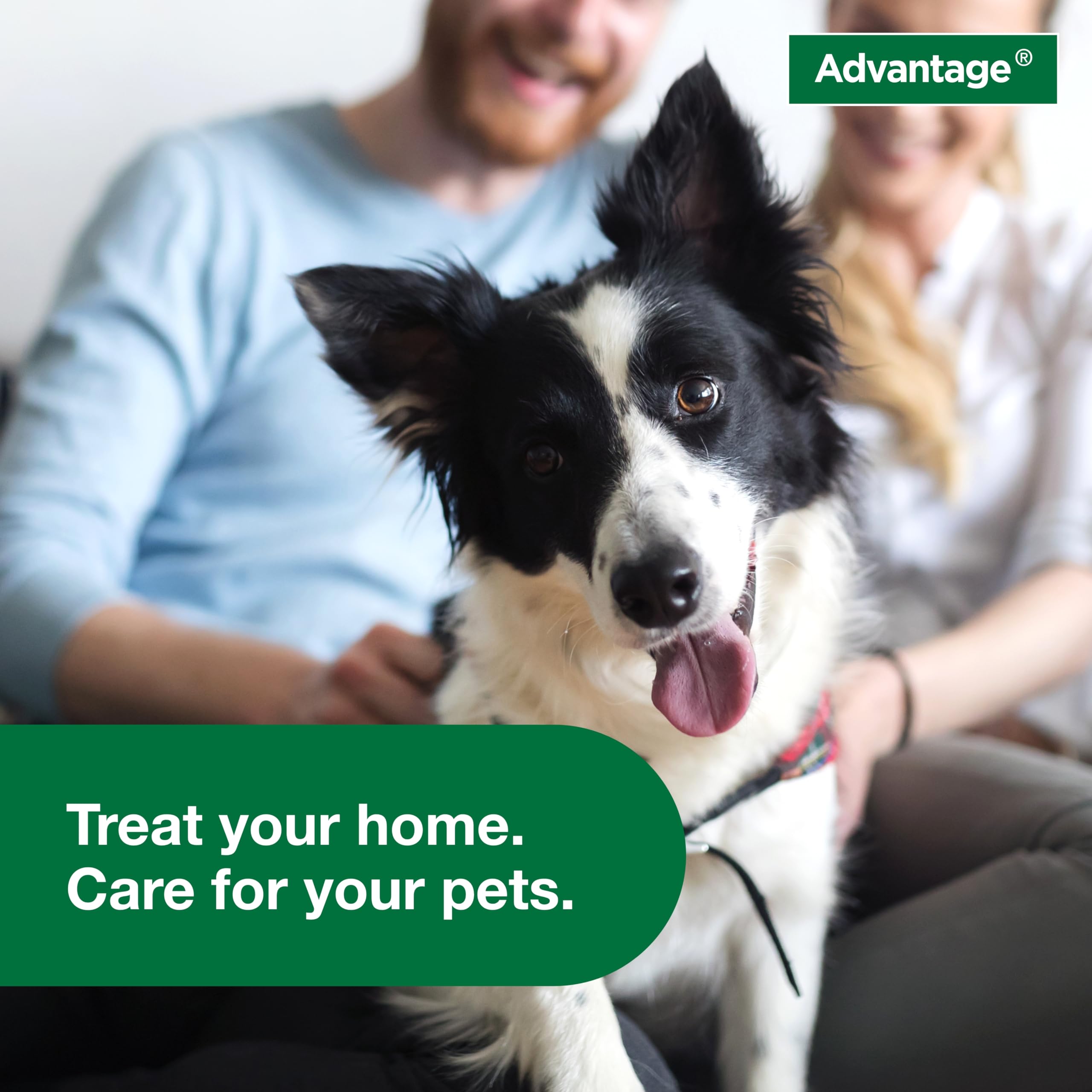 Advantage Household Fogger provides long-lasting effect up to seven months.