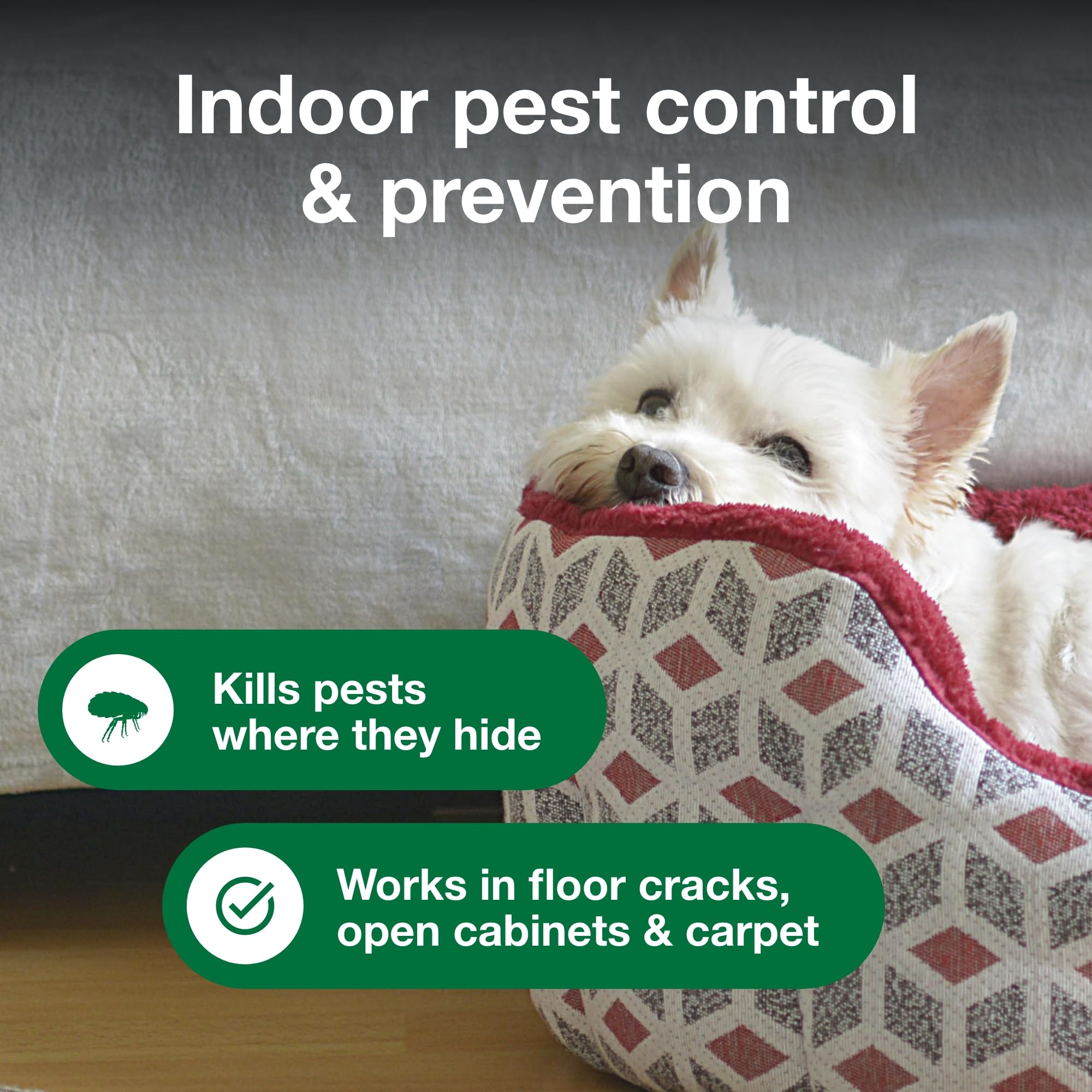 Advantage Household Fogger treats rooms up to 16x16 feet.
