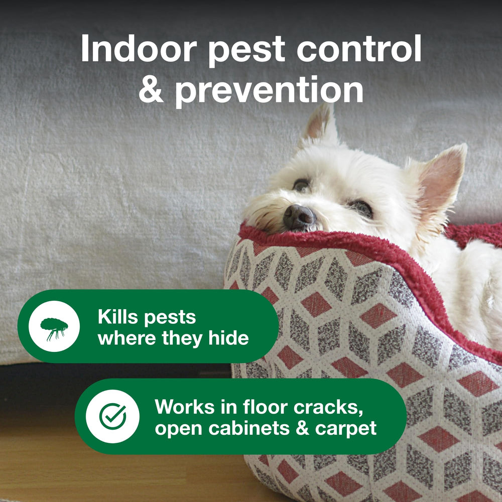Advantage Household Fogger treats rooms up to 16x16 feet.