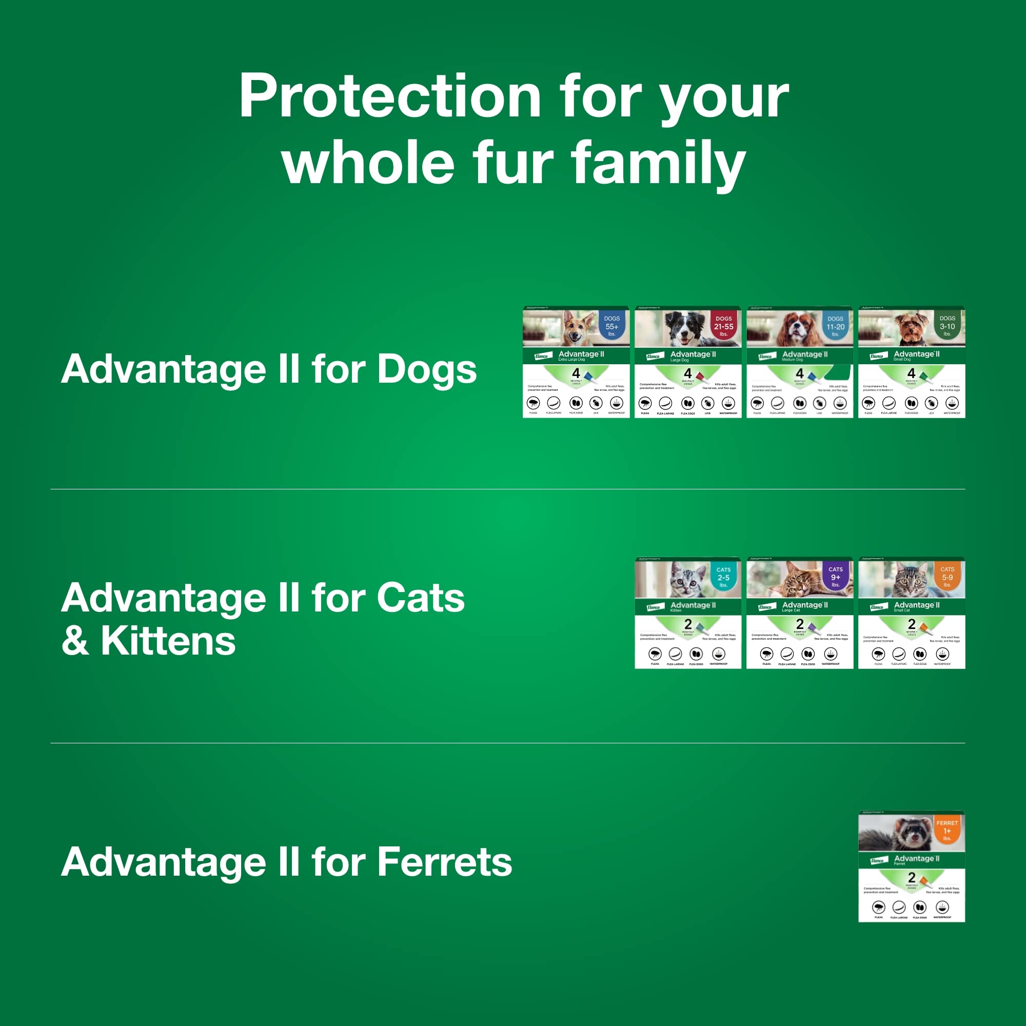 Advantage II Ferret requires 10 weeks or older minimum age.