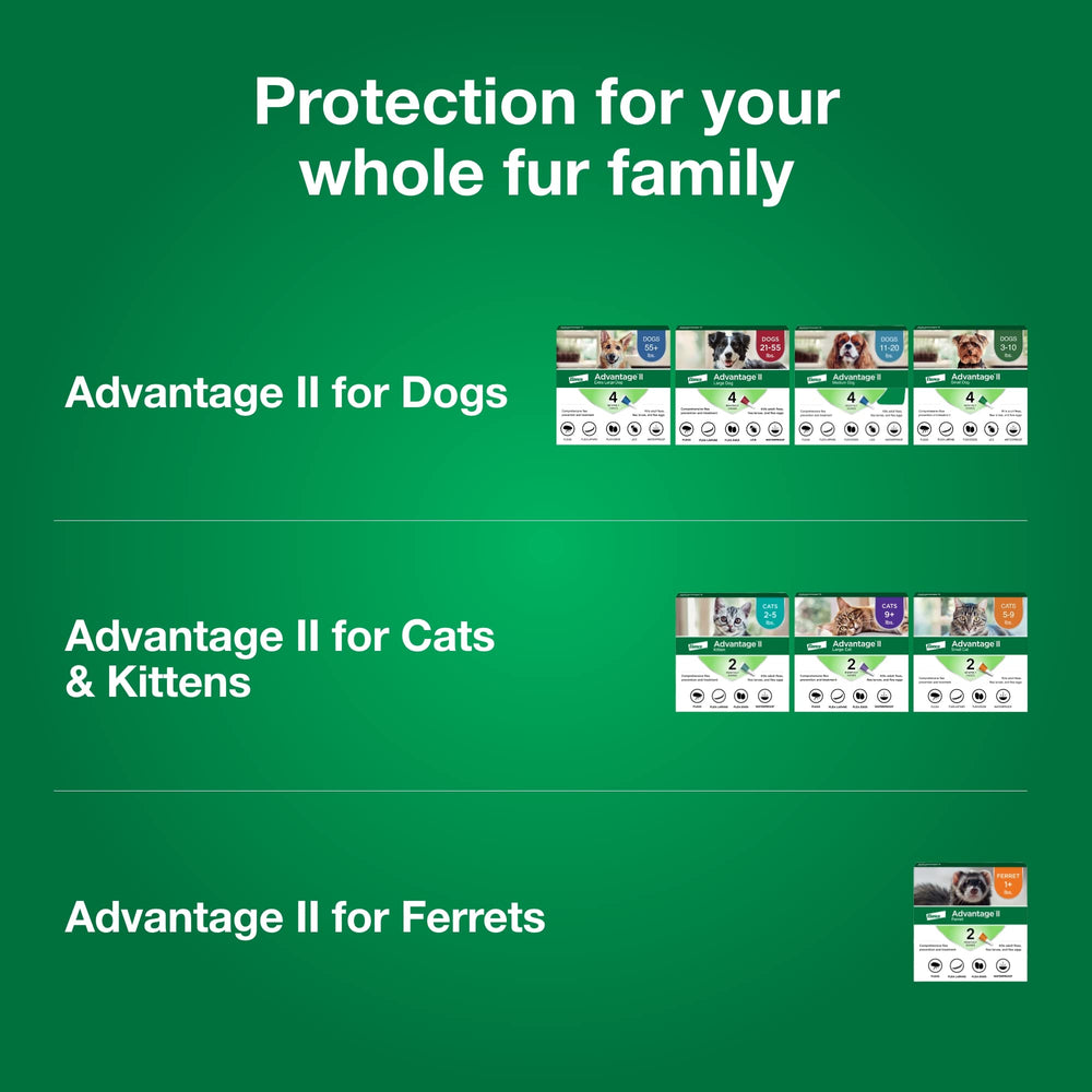 Advantage II Ferret requires 10 weeks or older minimum age.