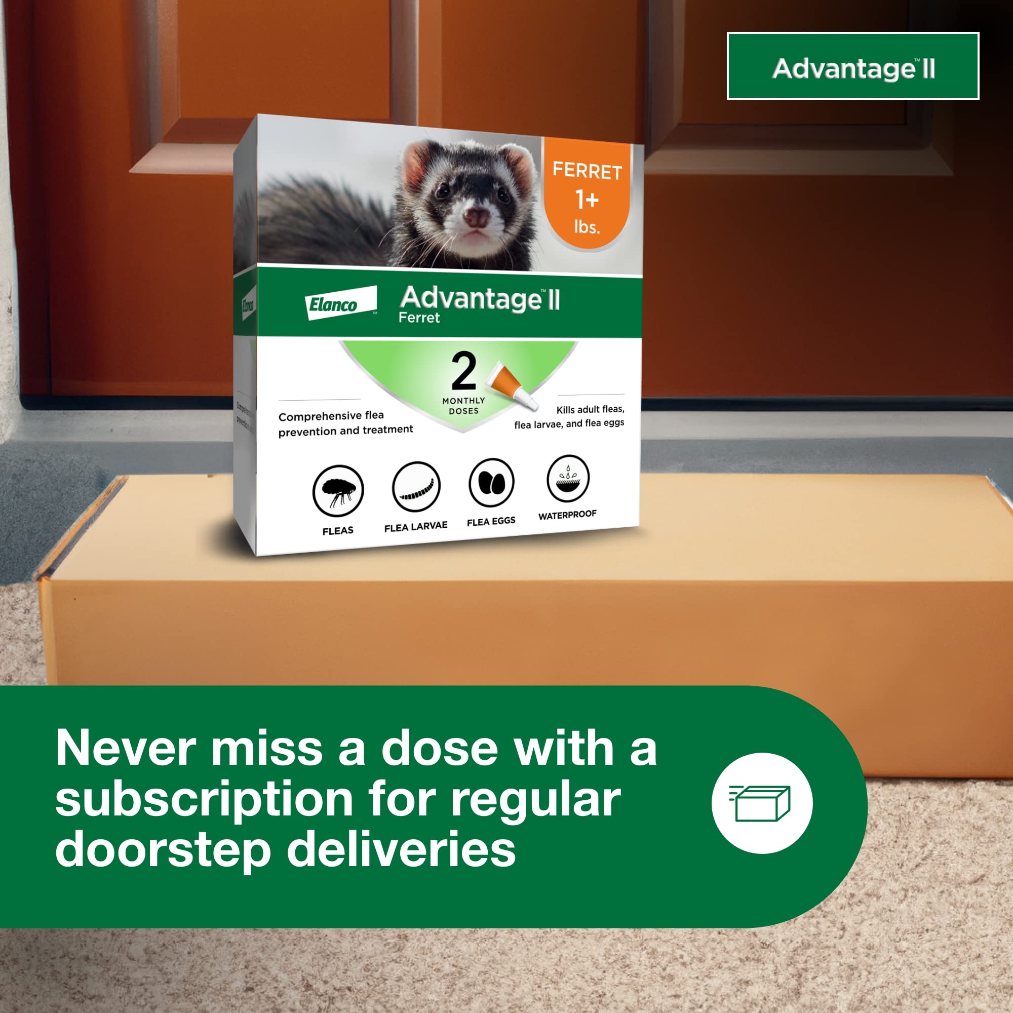Advantage II Ferret stops flea life cycle by targeting larvae and eggs.