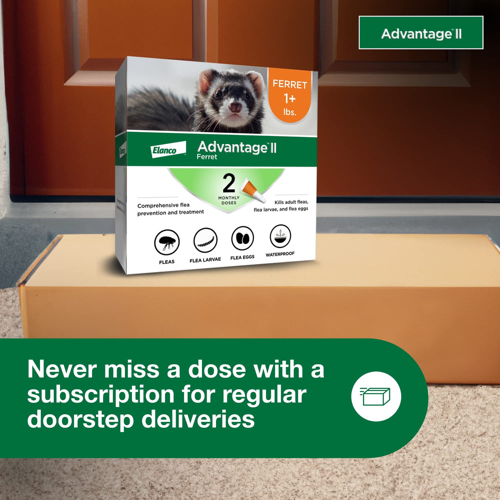 Advantage II Ferret stops flea life cycle by targeting larvae and eggs.