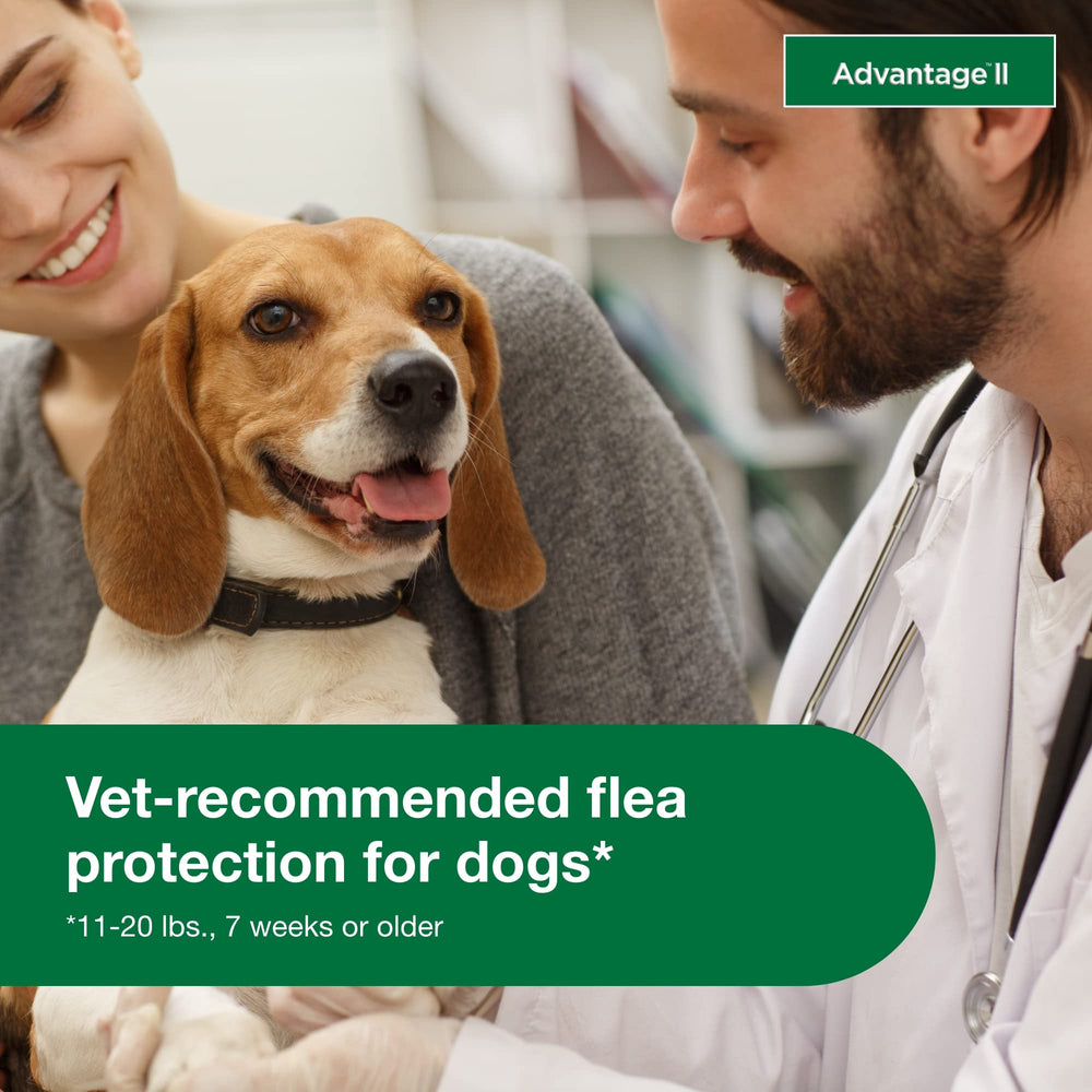 Advantage II targets flea larvae and eggs for total flea prevention.