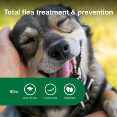 Advantage II kills fleas within 12 hours, reducing itch-related worries.