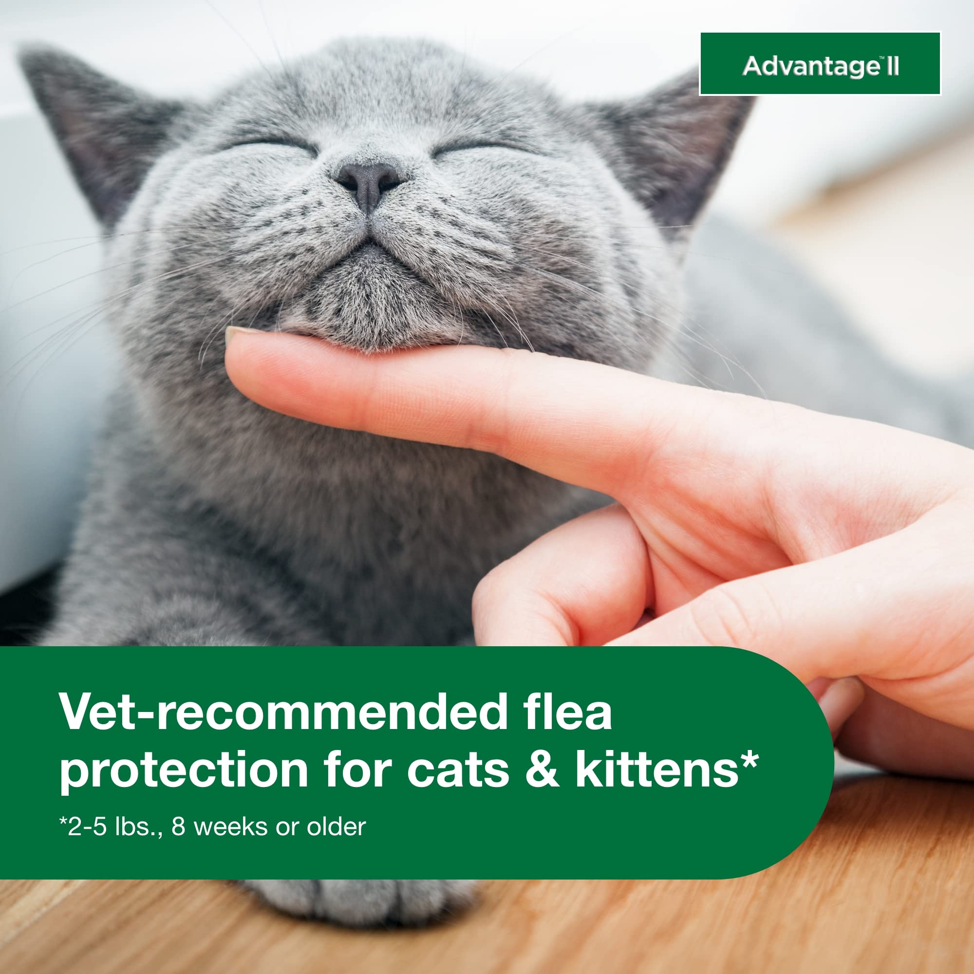 Advantage II Kitten fragrance-free formula suitable for sensitive cats.