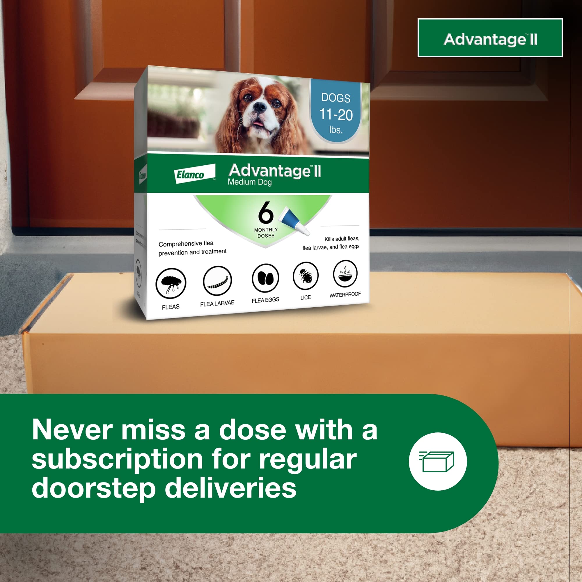 Advantage II suitable for indoor and outdoor dogs.