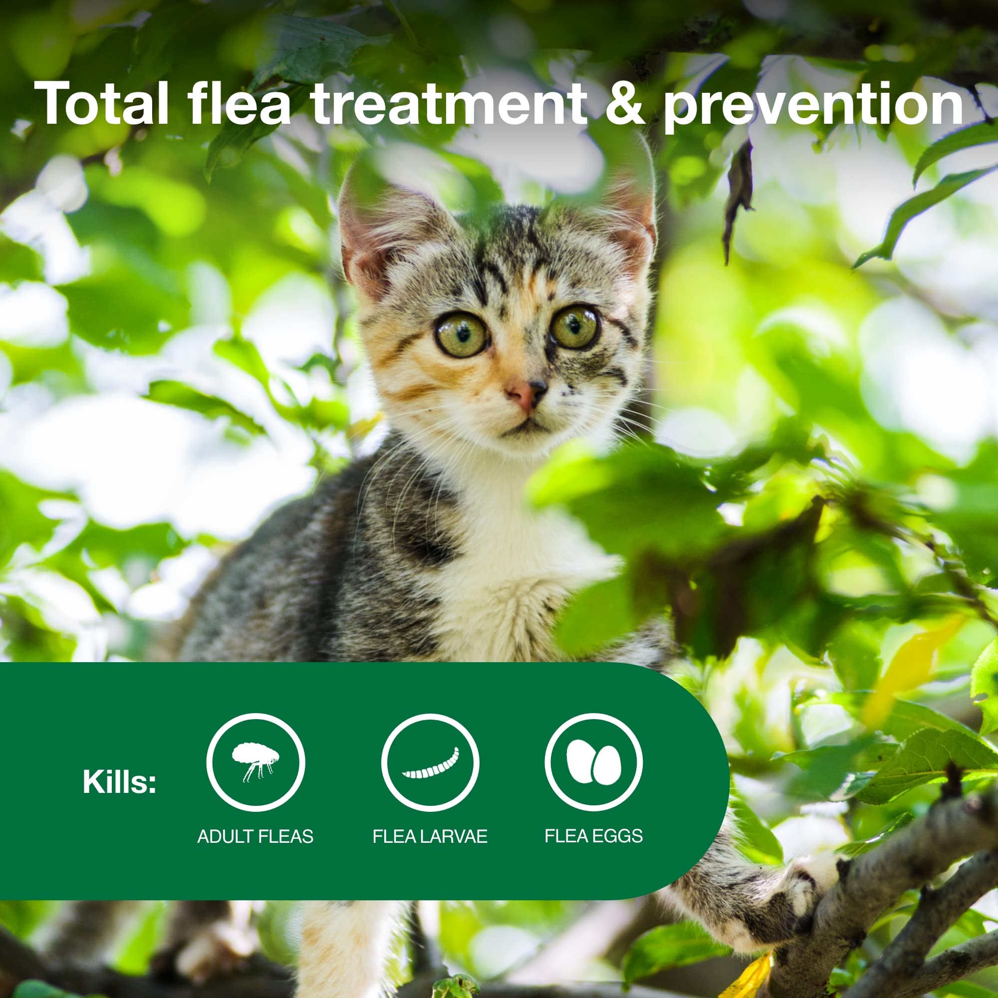 Advantage II Kitten 30-day protection keeps your cat covered.