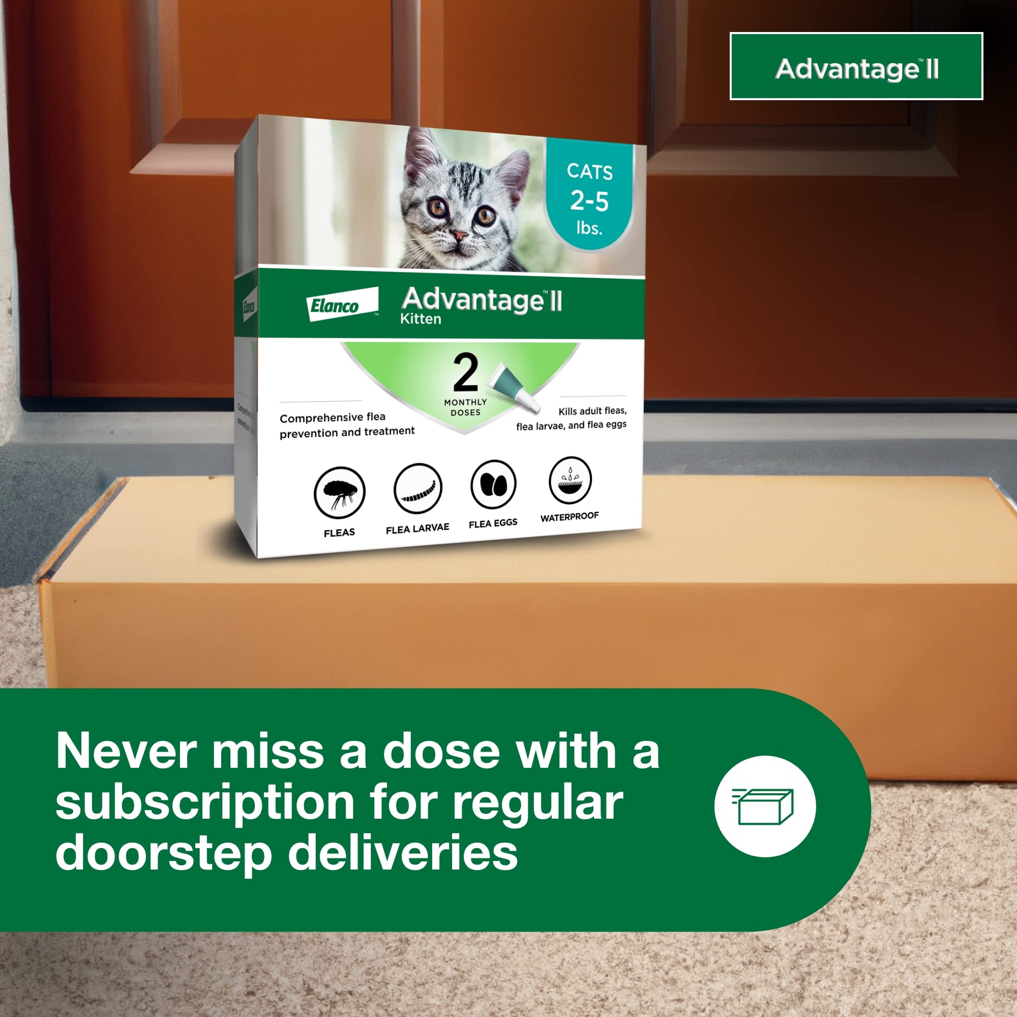 Advantage II Kitten indoor-outdoor use for versatile flea protection.