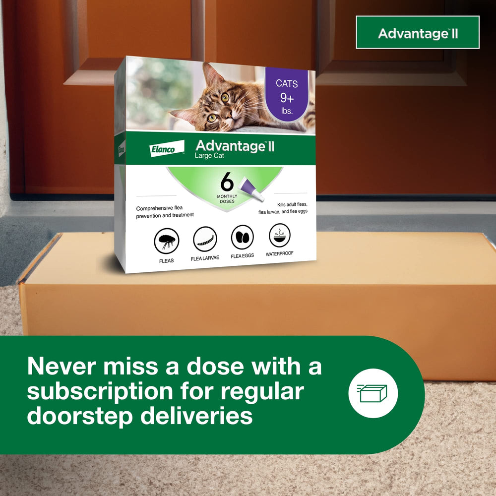 Advantage II Large Cat provides about 30 days of protection per treatment.