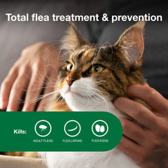 Advantage II Large Cat provides 30 days of flea protection.