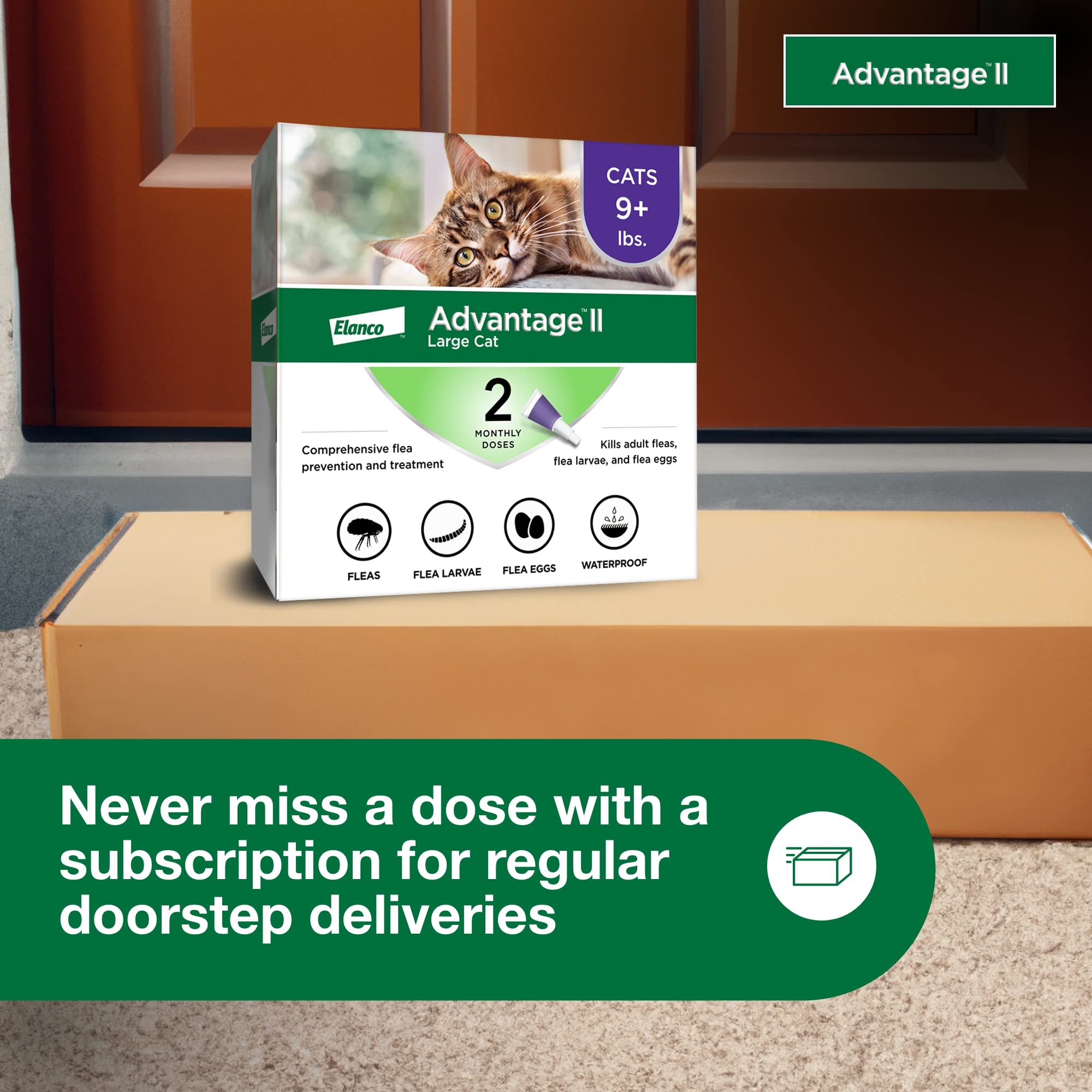 Advantage II Large Cat available OTC with no prescription needed.
