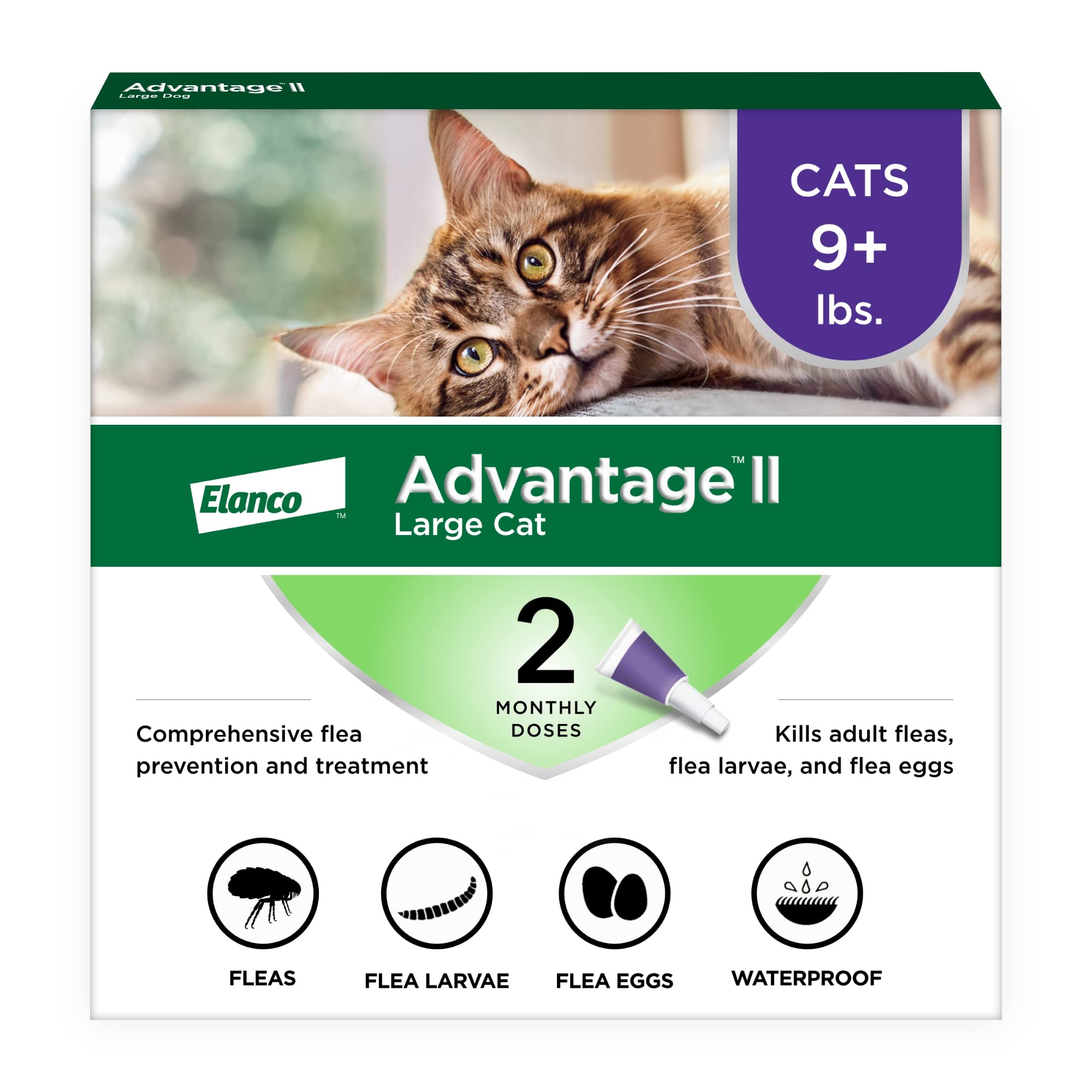 Advantage II Large Cat: spot-on neck application for easy monthly protection.