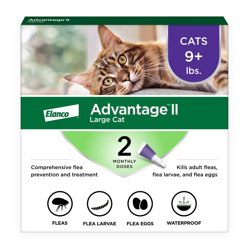 Advantage II Large Cat: spot-on neck application for easy monthly protection.