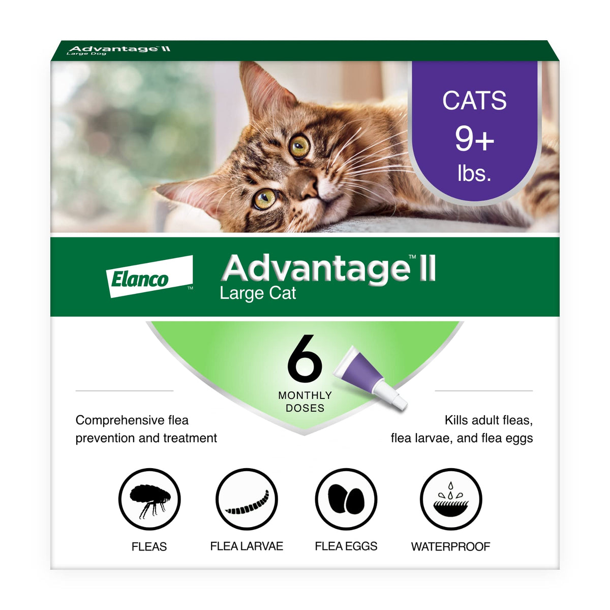 Advantage II Large Cat tube application on the neck for quick, clean dosing.