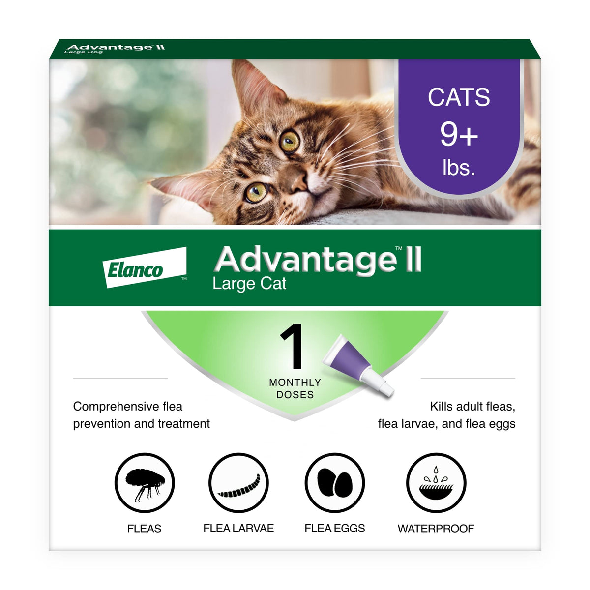 Advantage II Large Cat tube applied on neck for quick flea protection