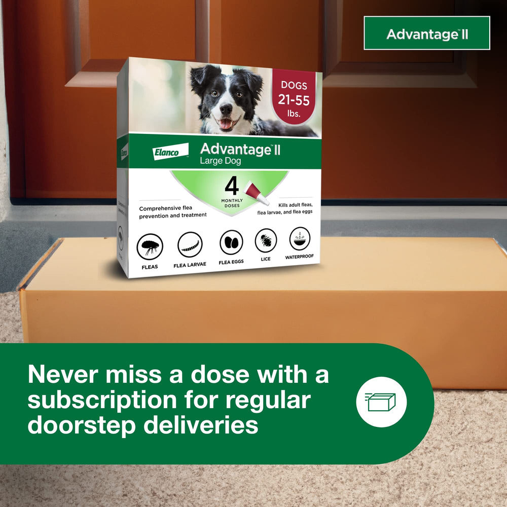 Advantage II Large Dog designed for dogs 7 weeks and older 21-55 lbs
