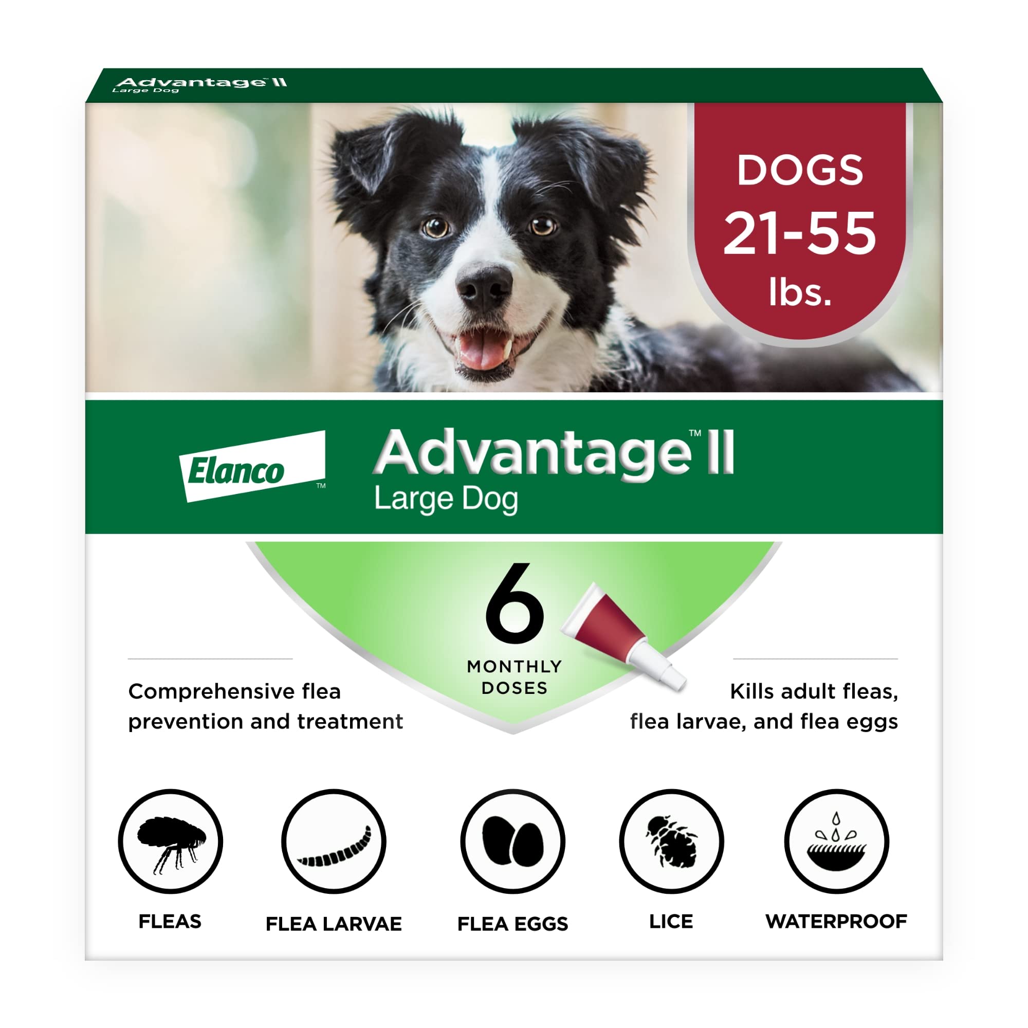 Advantage II Large Dog bottle ready for quick, easy topical application.