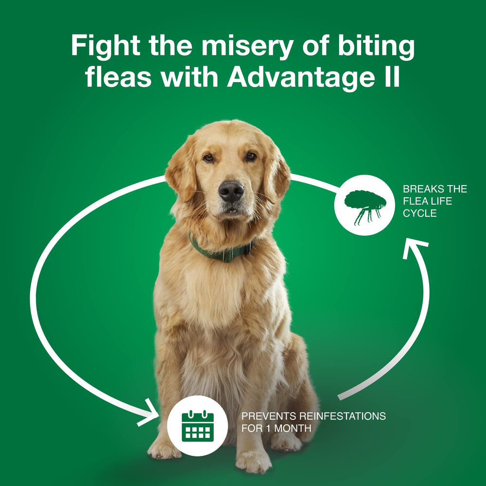 Advantage II packaging highlights 4-month supply option.
