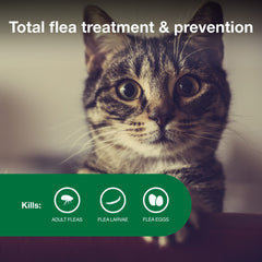 Advantage II Small Cat kills fleas within 12 hours for fast relief