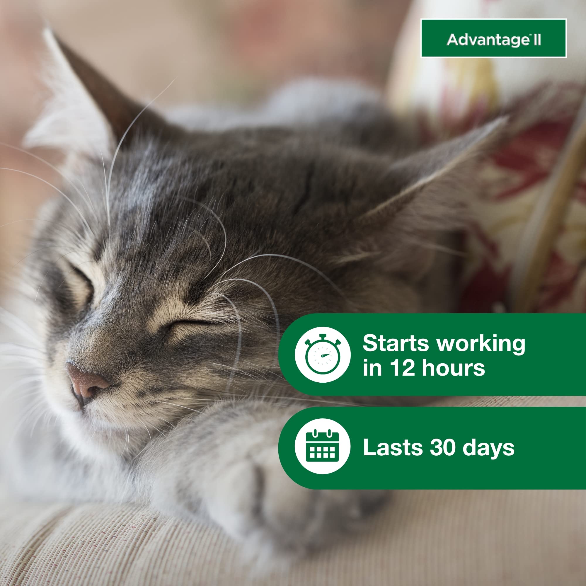 Advantage II Small Cat kills flea larvae and eggs for broader control