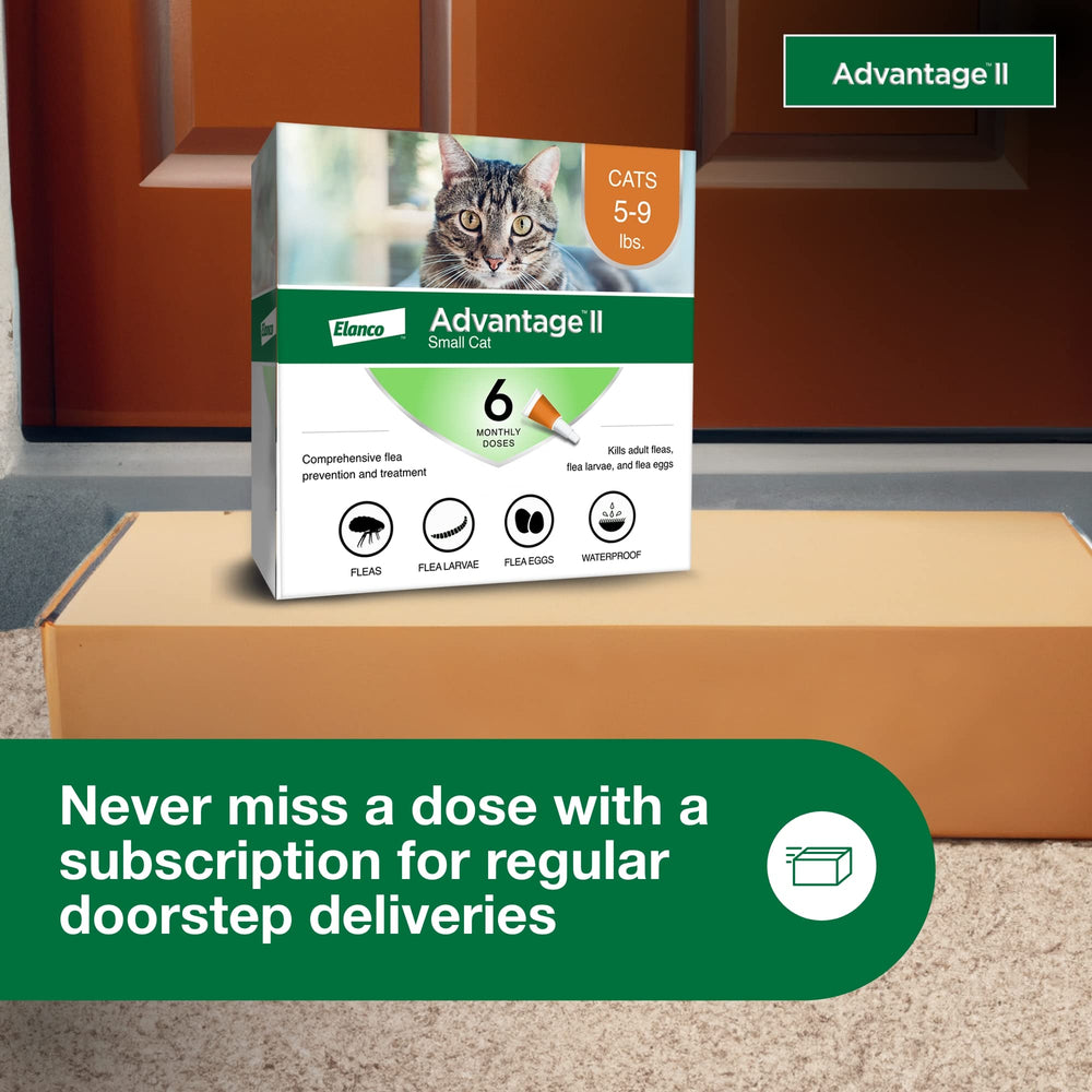 Advantage II Small Cat waterproof after 24 hours keeps treatment in place