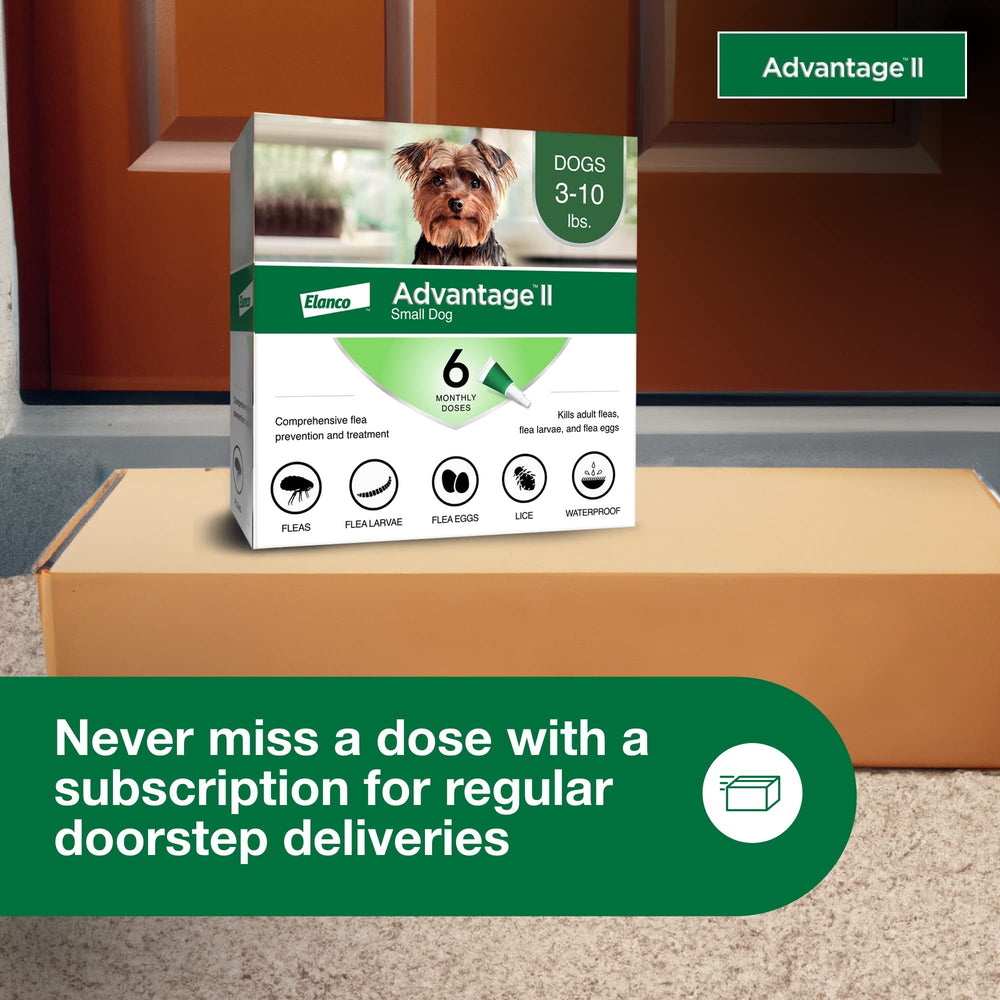 Advantage II Small Dog easy-to-apply spot-on treatment