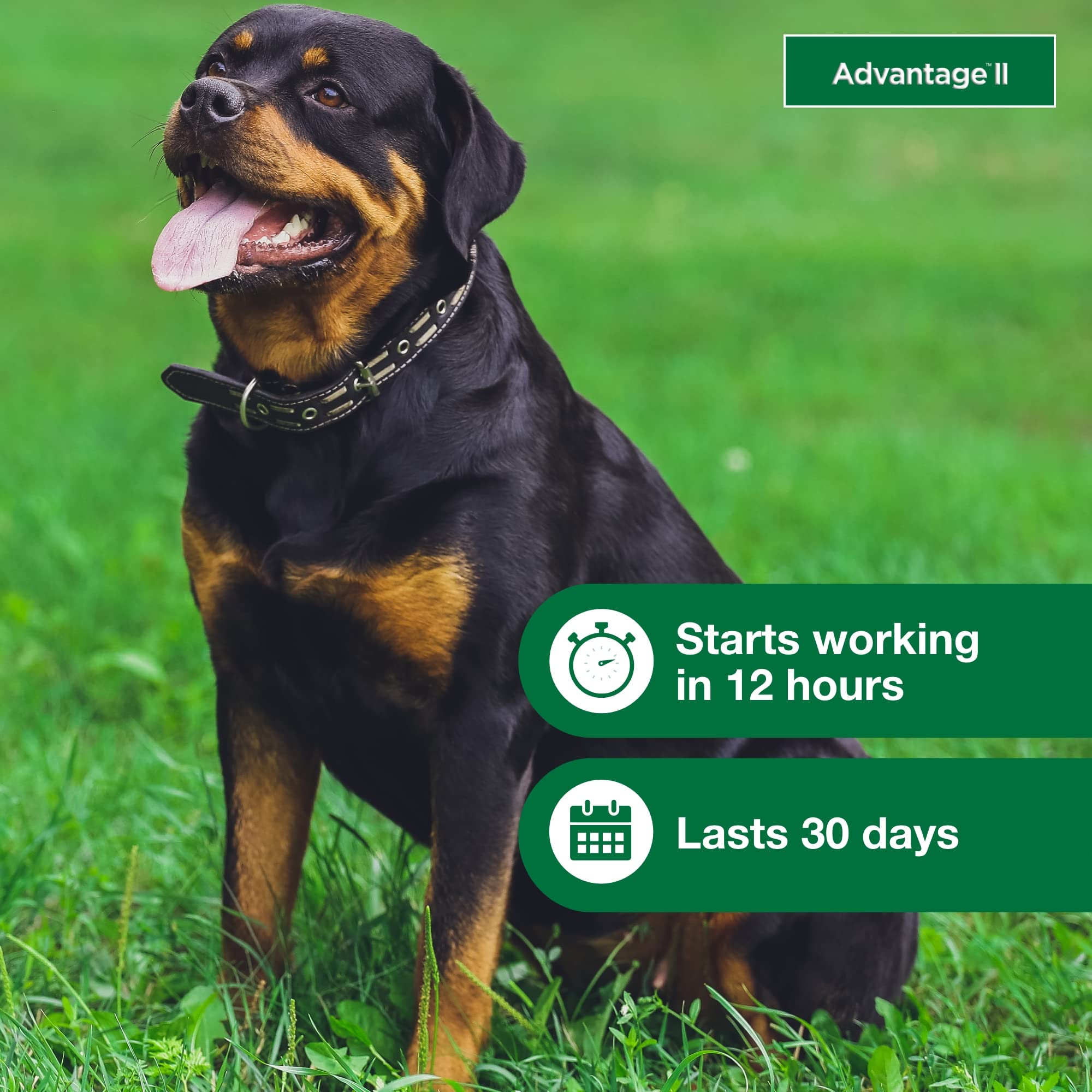 Advantage II XL emphasizes 30-day protection for ongoing flea prevention.