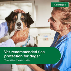 Advantage II XL topical application on dog's neck area