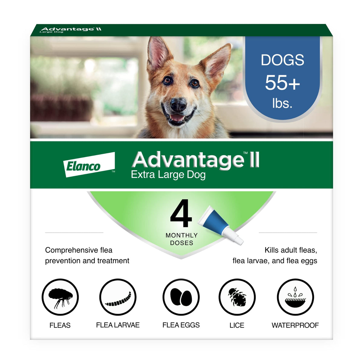 Advantage II XL dog packaging front shows a simple topical treatment for large dogs.