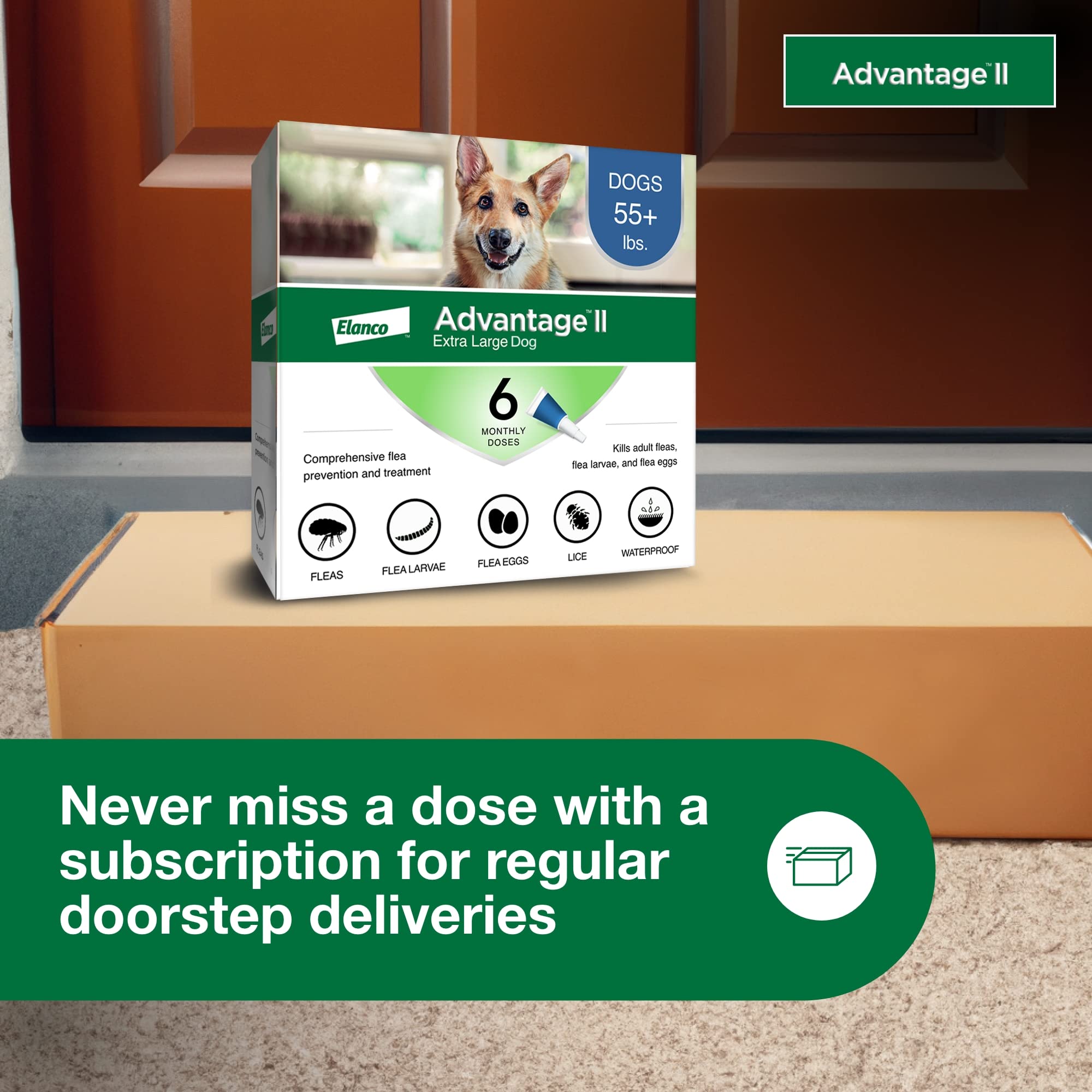 Advantage II XL protection for indoor and outdoor dogs