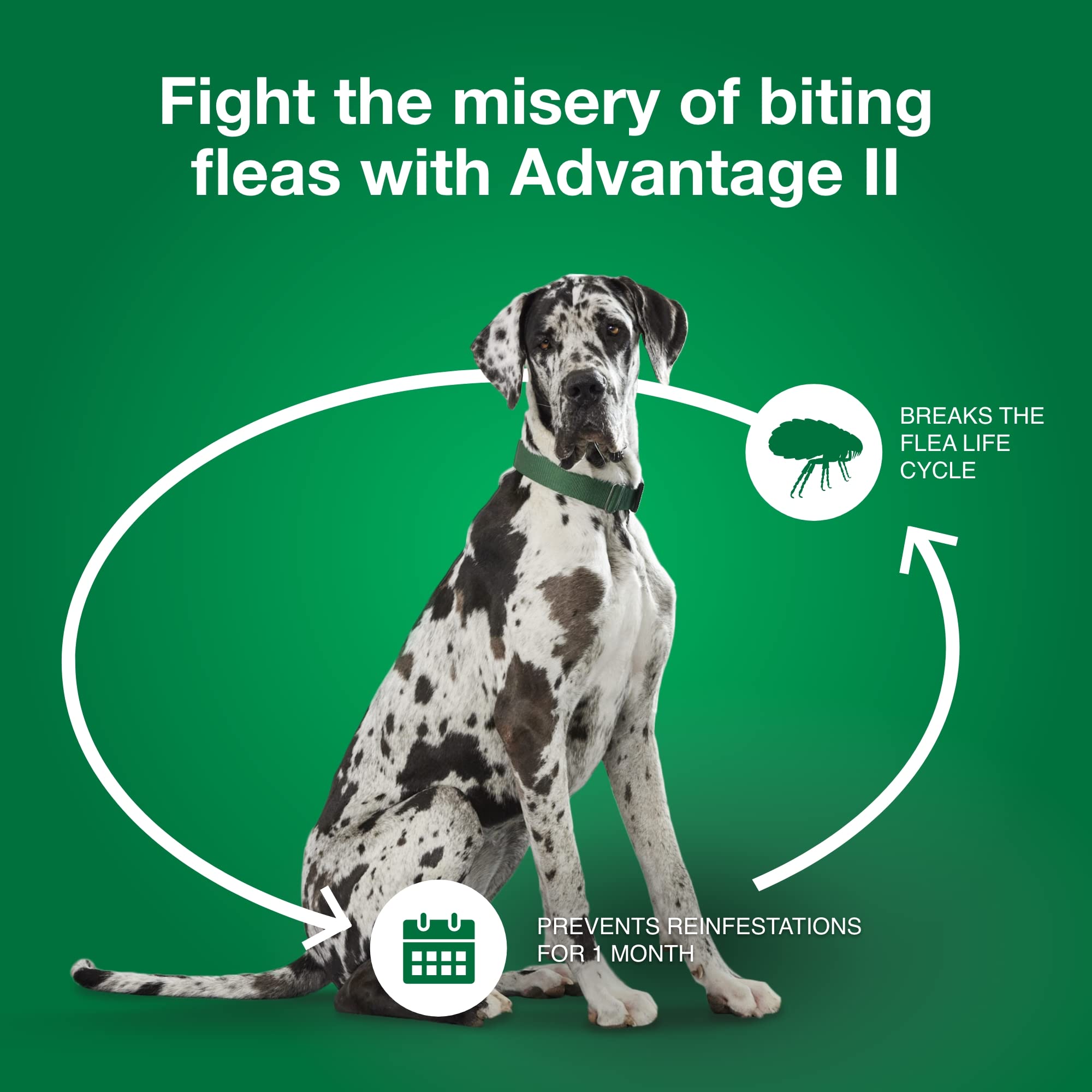 Advantage II XL vet-recommended seal indicating trust