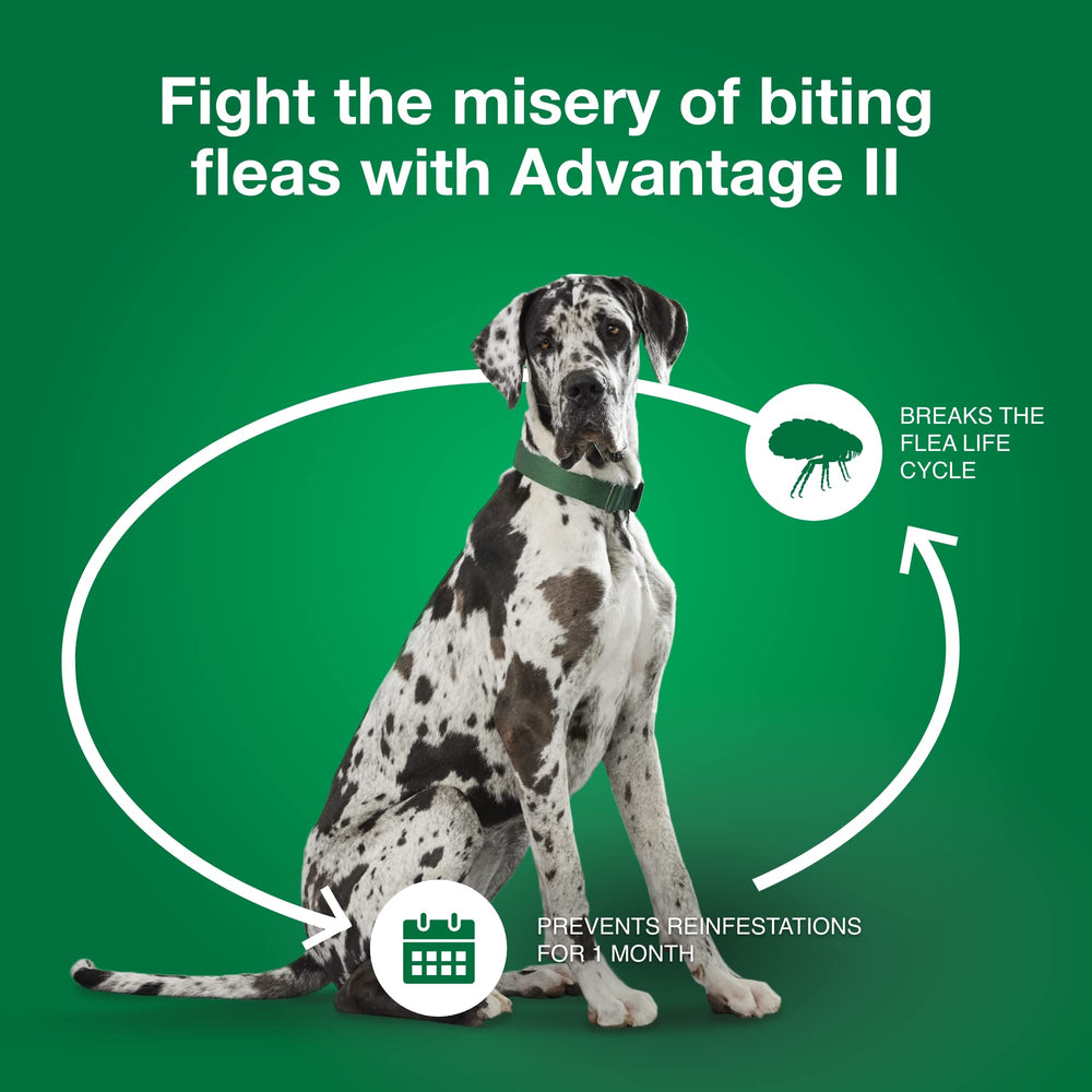 Advantage II XL vet-recommended seal indicating trust